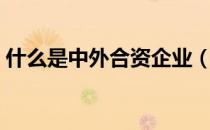 什么是中外合资企业（合资企业是什么意思）