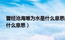 曾经沧海难为水是什么意思解释一下?（曾经沧海难为水是什么意思）