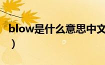 blow是什么意思中文翻译（blow是什么意思）