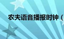 农夫语音播报时钟（农夫聊语音聊天室）