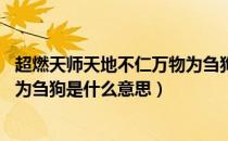 超燃天师天地不仁万物为刍狗小说笔趣阁（天地不仁 视万物为刍狗是什么意思）