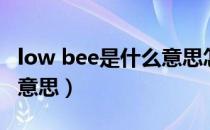 low bee是什么意思怎么读（low bee是什么意思）