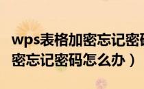 wps表格加密忘记密码怎么解密（wps表格加密忘记密码怎么办）