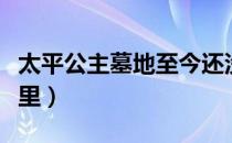 太平公主墓地至今还没发现（太平公主墓在哪里）