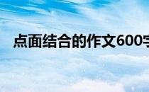 点面结合的作文600字（点面结合的作文）