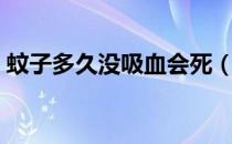 蚊子多久没吸血会死（蚊子几天不吸血会死）