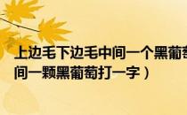 上边毛下边毛中间一个黑葡萄是什么生肖（上边毛下边毛中间一颗黑葡萄打一字）