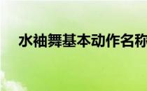 水袖舞基本动作名称（水袖舞基本动作）