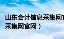 山东会计信息采集网官网查询（山东会计信息采集网官网）