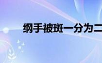 纲手被斑一分为二全过程（纲手被）