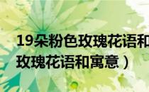 19朵粉色玫瑰花语和寓意是什么（19朵粉色玫瑰花语和寓意）