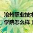 沧州职业技术学院有什么专业（沧州职业技术学院怎么样）