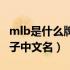 mlb是什么牌子中文名称图片（mlb是什么牌子中文名）