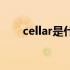 cellar是什么意思（cell是什么意思）