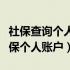 社保查询个人账户缴费明细查询（怎样查询社保个人账户）