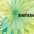 swisswin电脑包（swisswin）