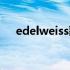 edelweiss歌词中文（edelweiss歌词）