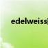 edelweiss歌词中文（edelweiss歌词）