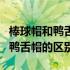 棒球帽和鸭舌帽的区别对比图图片（棒球帽和鸭舌帽的区别）