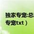 独家专宠:总裁先生太放肆 聪明的二休（独家专宠txt）