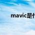 mavic是什么意思（VIC是什么意思）