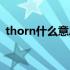 thorn什么意思（THORN中文是什么意思）