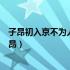 子昂初入京不为人知有卖胡琴者价百万豪贵传视无辨者（子昂）