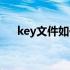 key文件如何打开（key文件怎么打开）