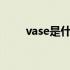 vase是什么意思（vae是什么意思）