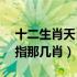 十二生肖天肖是指哪几个生肖（12生肖天肖指那几肖）