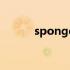 spongebob怎么读（sponge）