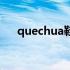 quechua鞋子是什么价格（quechua）