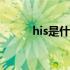 his是什么意思（he是什么意思）