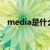 media是什么意思?（media是什么意思）