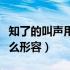 知了的叫声用什么拟声词形容（知了的叫声怎么形容）