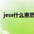 jess什么意思中文翻译（jesse是什么意思）