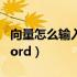 向量怎么输入word2007（向量符号怎么在word）