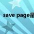 save page是什么意思（page是什么意思）