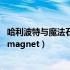 哈利波特与魔法石迅雷 1080p（哈利波特与魔法石迅雷下载magnet）