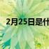 2月25日是什么星座（2月3日是什么星座）