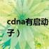 cdna有启动子和终止子吗（cdna文库有启动子）