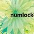 numlock在那（numlock键在哪里）