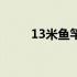 13米鱼竿价格表（13米鱼竿价格）