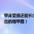 甲床受损还能长出来吗要吃什么药才可以生长（甲床受损长出的指甲图）