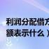 利润分配借方余额表示什么（本年利润贷方余额表示什么）