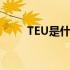 TEU是什么单位（teu是什么单位）