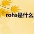 rohs是什么意思英文（rohs是什么意思）