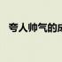 夸人帅气的成语100个（夸人帅气的成语）