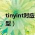 tinyint对应什么数据类型（tinyint是什么类型）