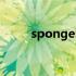 spongebob海绵宝宝（sponge）